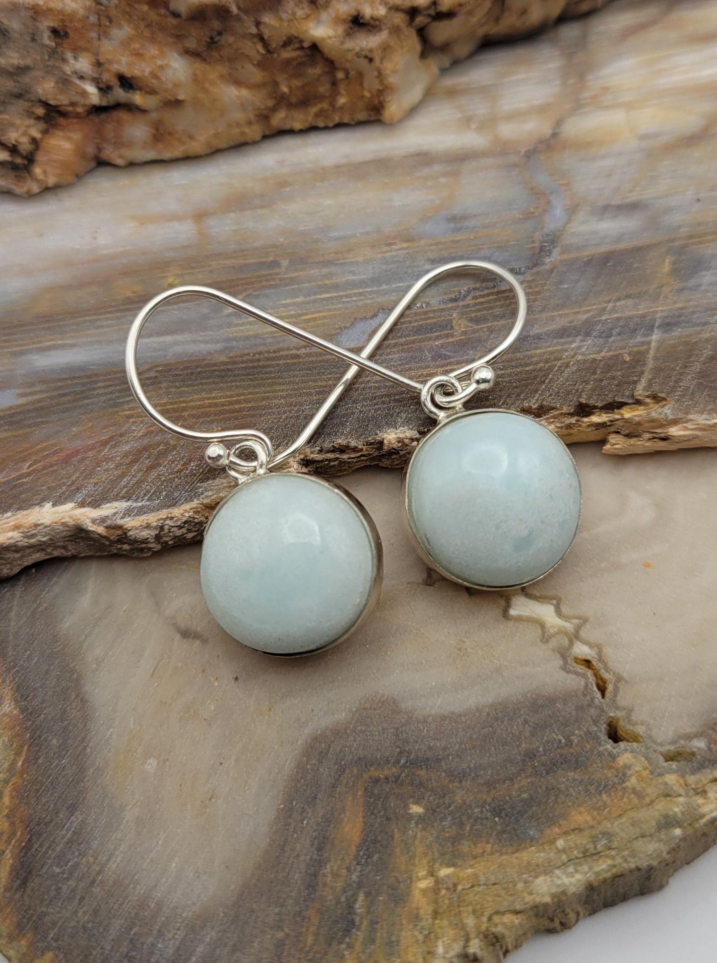 Ocean Picture Stone Earrings