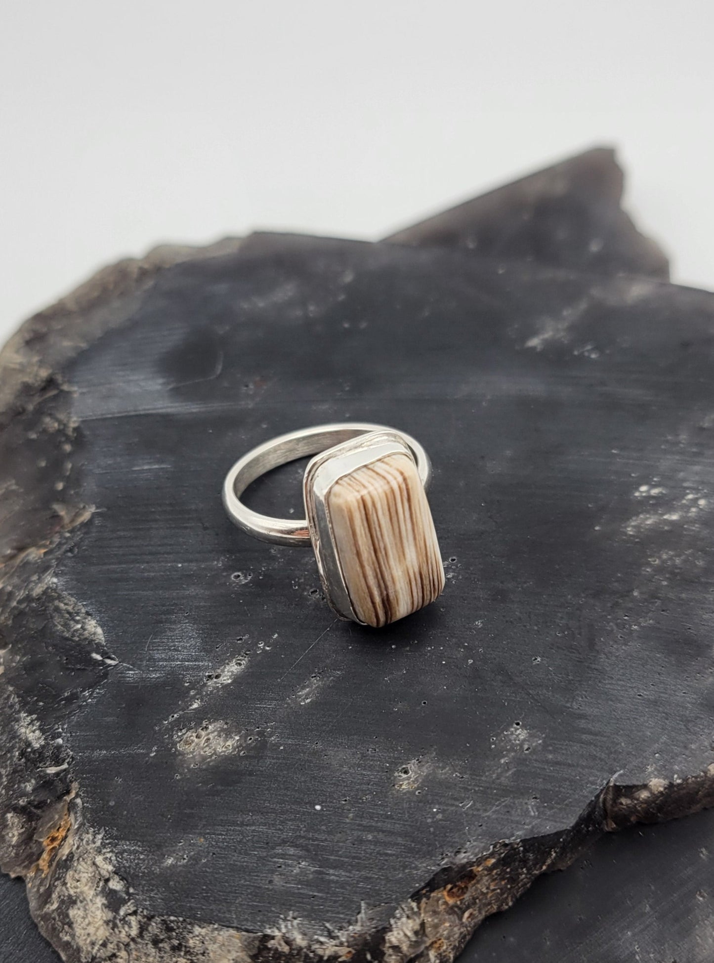 Petrified Wood Ring