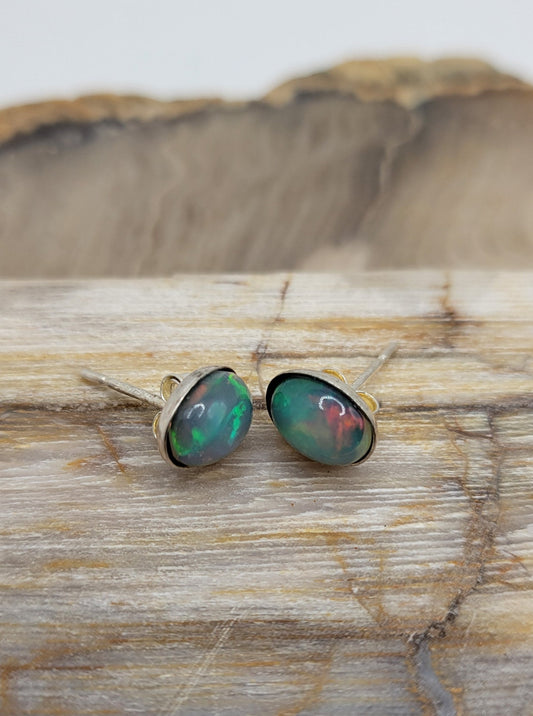 Solid Opal Earrings