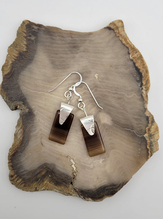 Petrified Wood Earrings